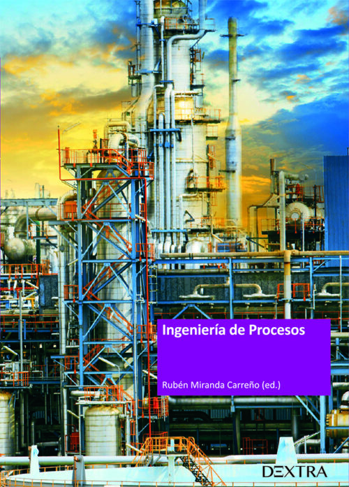 9788417946203 Ingenieria De Procesos.