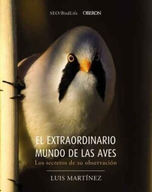 9788441540330 El Extraordinario Mundo De Las Aves. Los Secretos De Su Observación.  - (Libros Singulares)