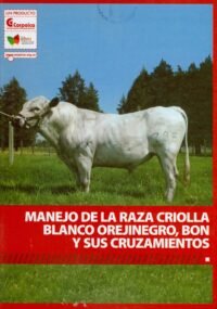 Manejo De La Raza Criolla Blanco Orejinegro, Bon Y Sus Cruza