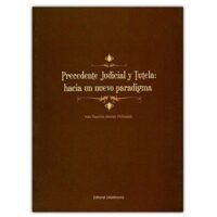 9789588524375 Precedente Judicial Y Tutela: Hacia Un Nuevo Paradigma