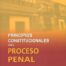 9789972041396 Principios Constitucionales Del Proceso Penal