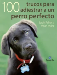 100 Trucos Para Adiestrar A Un Perro Perfecto