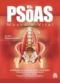 El Psoas. Musculo Vital