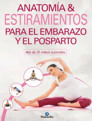 Anatomía & Estiramientos Para El Embarazo Y Posparto