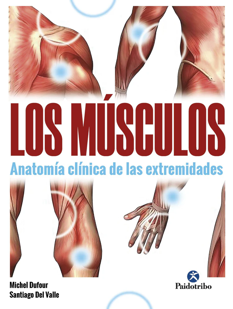 Los Músculos. Anatomía Clínica De Las Extremidades
